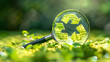 © Erika - lupa encerrando el icono simbolo de reciclaje de recursos del medio ambiente sobre la naturaleza sobre cesped y pasto verde naturaleza cuidando el medio ambiente cambiando el planeta