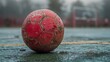 © avivmuzi - Handball Ball on Field