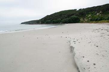 Rangiputa coast