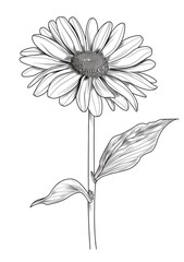 This is a black and white line drawing of a single daisy flower with a stem and two leaves. The image is suitable for coloring.