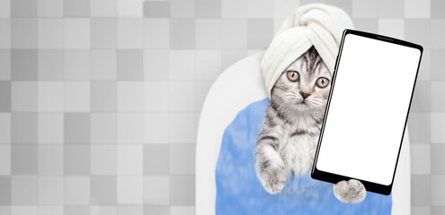 Wall Mural - Cute kitten with towel on it head takes the bath at home and shows big smartphone with white blank screen in it paw. Top down view. Empty space for text