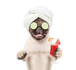 Leinwandbilder - Funny Mastiff puppy with towel on his head and with cream on his face and a pieces of cucumber on his eyes holds watermelon cocktail. Isolated on white background