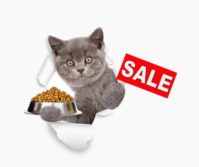 Aufkleber - Cute cat looking through the hole in white paper and holding empty bowl