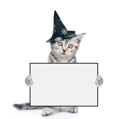 Aufkleber - Kitten wearing hat for halloween holding blank white banner. isolated on white background