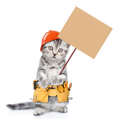 Poster - Funny cat worker with toolbelt and hardhat shows empty placard.  Isolated on white background