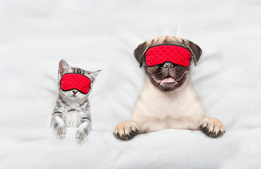 Fototapete - Pug puppy and tiny kitten wearing sleeping masks sleep together on a bed at home. Top down view