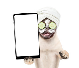 Poster - Funny Pug puppy with towel on it head and with  pieces of cucumber on it eyes holds big smartphone with white blank screen in it paw. isolated on white background