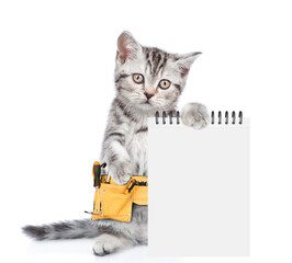 Poster - Funny cat wearing toolbelt shows blank notepad.  Isolated on white background