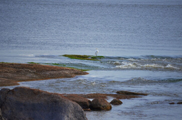 view of the coast