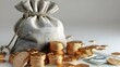 © daniel - 3D Money concept with money bag, coins, stack, and banknotes