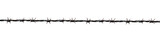 A barbed wire isolated on transparent background wide screen
