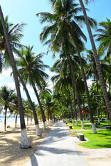 Wall Mural - 
Nha Trang city, Vietnam - October 15, 2023 : Overlooking the beautiful coast of Nha Trang with palm trees on the beach with deck chair and parasol. Beautiful white sand tropical beach in coastal city