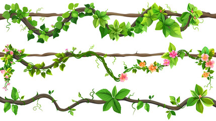 Jungle liana creeping branch frames. Cartoon vector illustration set of borders from climbing tropical tree with green leaves and flowers. Boundary box made of twisted plant stem, greenery and blossom