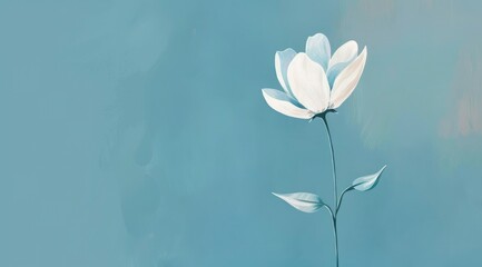 Wall Mural - White flower on blue background