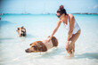 © tunedin - Woman petting pig, swimming in sea on Pig Beach, Exuma, Bahamas, Caribbean