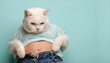 © jeepbabes - weisse, katze, blickt, auf, ihren, dicken, bauch, im, t-shirt, modisch, Jeans, hose, mollig, plus, size, diät, Gewicht, hellblau, türkis, pastell, hintergrund, solider, grün, hell, copy space, werbung