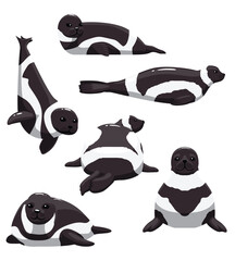 Wall Mural - Ribbon Seal various Poses Set Cartoon Vector