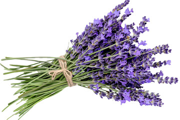 bunch of lavender isolated on transparent background