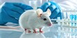© ANNY - A white mouse is standing on the table with some test tube on background in lab
