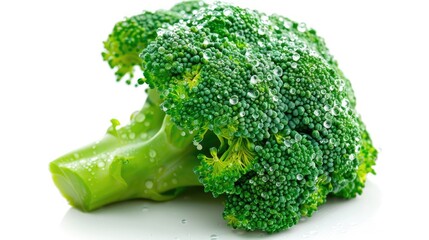 Wall Mural - A single broccoli floret with water droplets on a white background, highlighting its freshness.