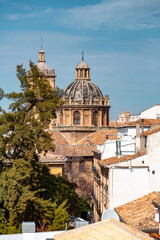 Wall Mural - Granada Cathedral in Granada, Andalusia, Spain