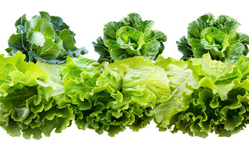 Wall Mural - Green lettuce top view isolated on transparent background