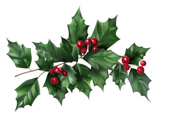 Wall Mural - Holly berries isolated on transparent background