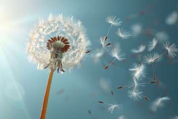 Wall Mural - a macro shot of a dandelion