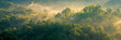 © aFotostock - Banner Beautiful Mountain landscape foggy mountain green landscape morning sunrise. Amazing Landscape mountain green tropical forest tree on sunrise. Banner forest sunlight scenery with copy space