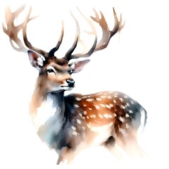 deer in a white background