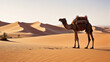 © 4K_Heaven - Dune Trekking Adventure: Desert Vista Featuring a Camel and Sturdy Cactus, Inspiring Tales of Exploration and Resilience Amidst the Harsh Sands, Generative AI