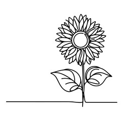 Wall Mural - black and white sunflower line art vector