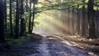 © Thanthara - Empty dirt road winding through a dense forest, close-up, sunbeams piercing through tall trees, tranquil, no people