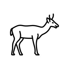 Wall Mural - Deer Outline Icon, Vector illustration