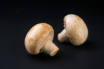 fresh champignons mushrooms on black background