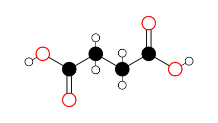 Poster - succinic acid molecule, structural chemical formula, ball-and-stick model, isolated image e363