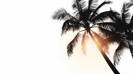 Tropical island silhouette minimal palm tree sunset white background selective focus vibrant blend mode tropical theme