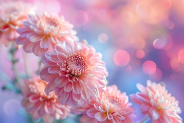 Canvas Print - Numerous pink blooms in a container on a surface