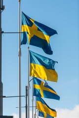 Wall Mural - Flags of Ukraine and Sweden flying side by side during a war protest at Gustaf Adolfs square.