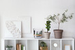 © Pixel-Shot - Interior of light room with shelving unit, houseplants and pictures
