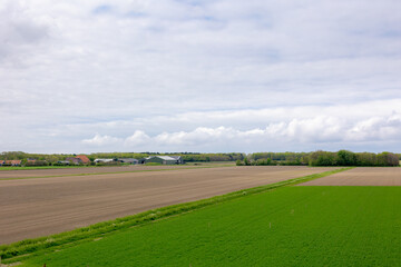 Wall Mural - Spring landscape, Typical Dutch polder land with blue sky and white could, Plowed the soil on the filed for agriculture and green grass filed, Countryside of Texel Island, Noord Holland, Netherlands.