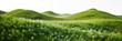© Evgenia - isolated  daisy hills with sharp peaks, white background, panoramic view, high resolution, professional photograph, hyperrealistic, high definition
