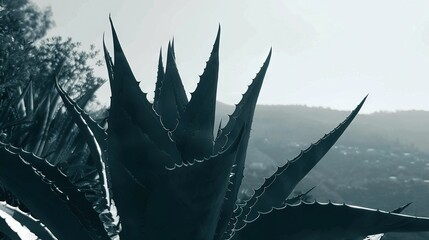 Poster -   A monochromatic image of a plant against a mountainous backdrop