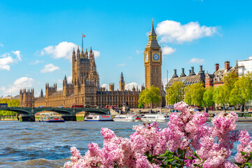 Poster - Big Ben tower and Houses of Parliament in spring, London, UK