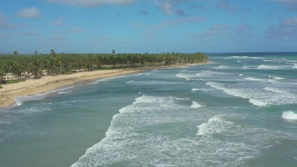 Wall Mural - Pristine and bounty tropical shore with coconut palm trees and azure caribbean sea. Beautiful landscape. Aerial view from drone