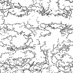 Wall Mural - Trees pattern seamless drawing