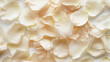 © AngrySun - Delicate white rose petals. Aesthetic background for special events. Romantic concept. Generative AI