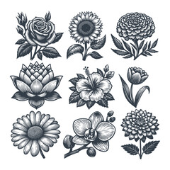 Wall Mural - Set of flower vintage woodcut style drawing vector