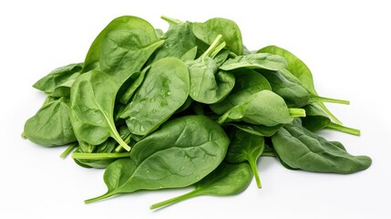 Wall Mural - fresh isolated spinach green