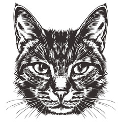 Wall Mural - cat head vector png